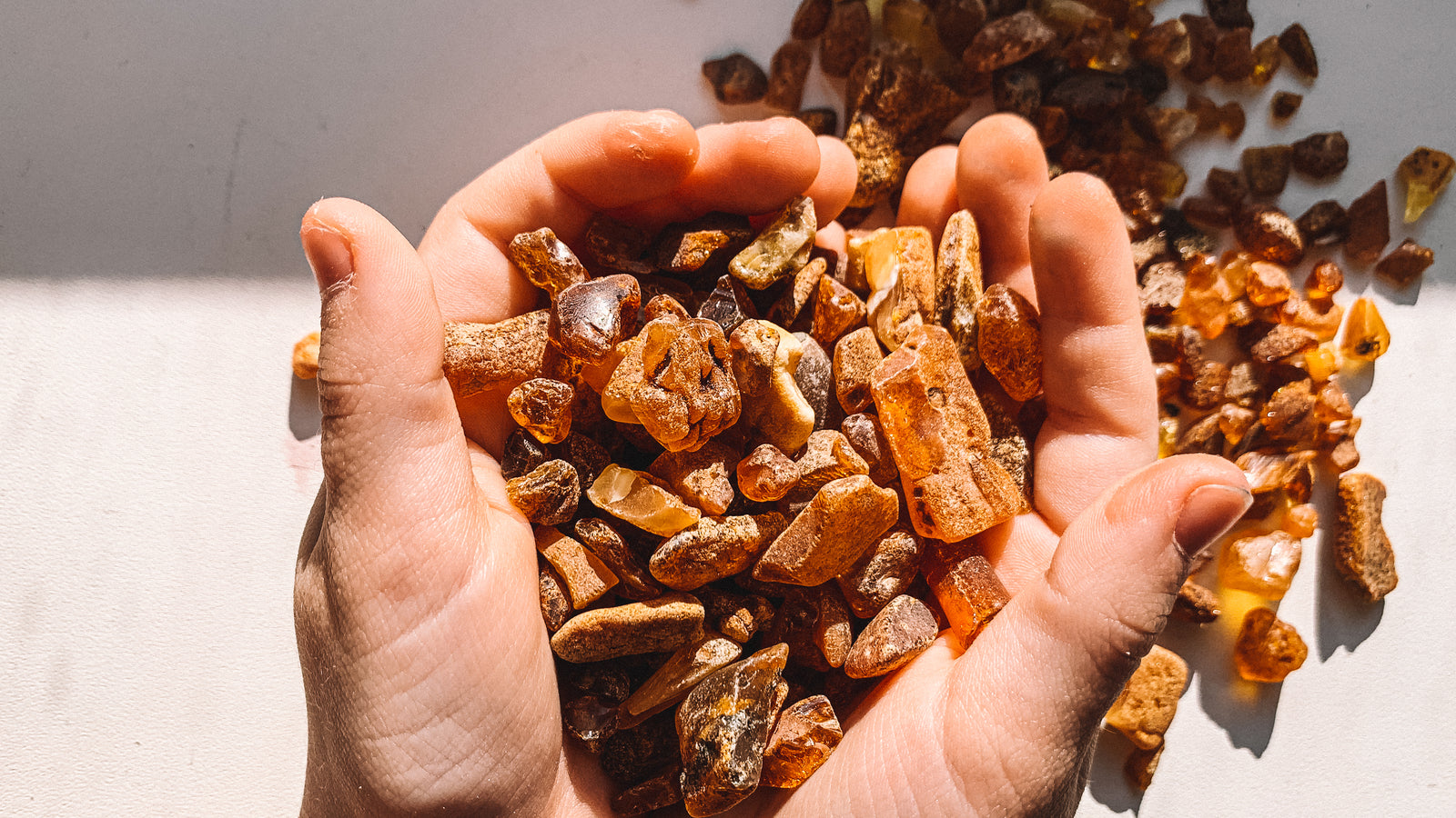 L'Ambre : un Tour d'Horizon Complet