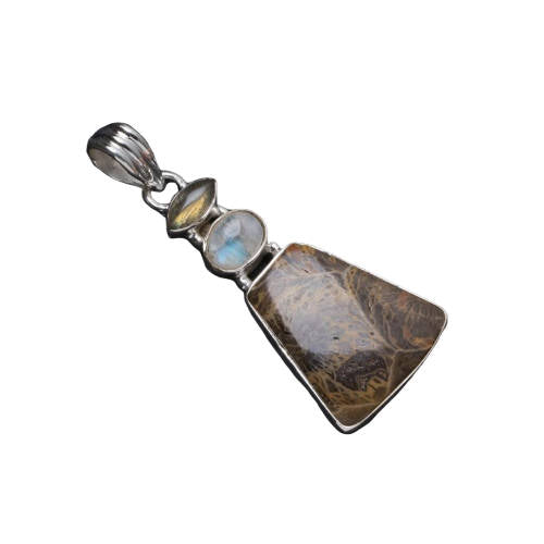 Pendentif LabradoritePierre de Lune-Fossile de Corail. | Tendre-lune